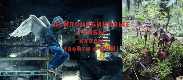 mdpv Арсеньев