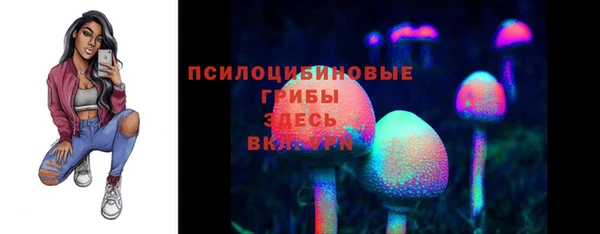 mdpv Арсеньев