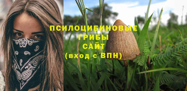герыч Аркадак