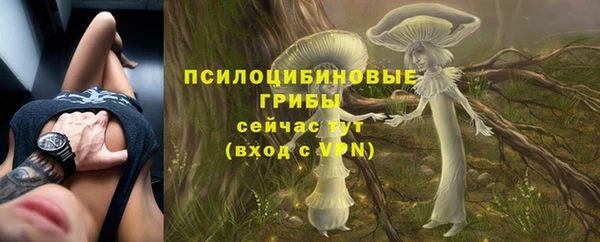 герыч Аркадак