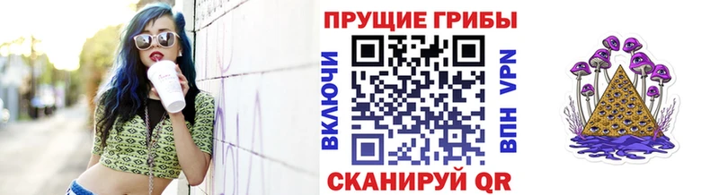 Псилоцибиновые грибы мицелий  Арсеньев 